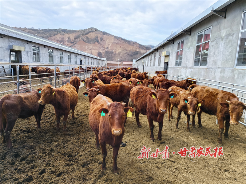 华亭：关山脚下织锦绣 汭水两岸产业旺