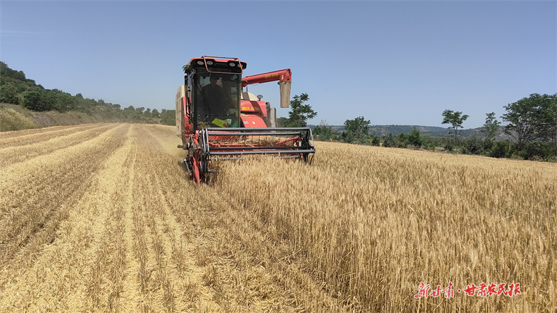 甘肃：失业保险新政助力稳就业保民生