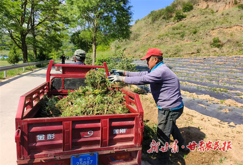 秦州区：百日攻坚 绘就乡村环境新画卷