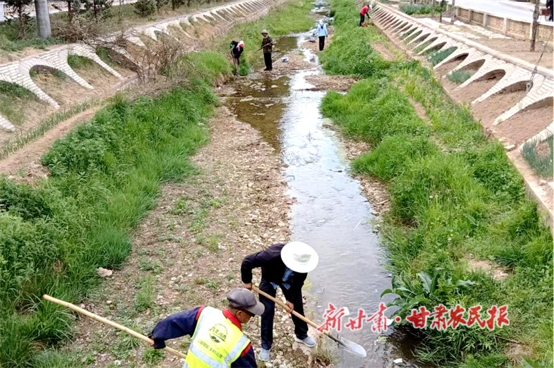 华亭：“执笔”河道治理 乡村“净”待蝶变