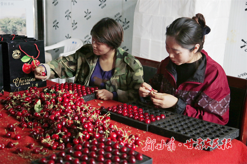 秦州区：高质量发展蹄疾步稳