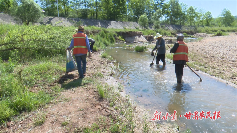 华亭：聚焦环境整治，共筑和美乡村
