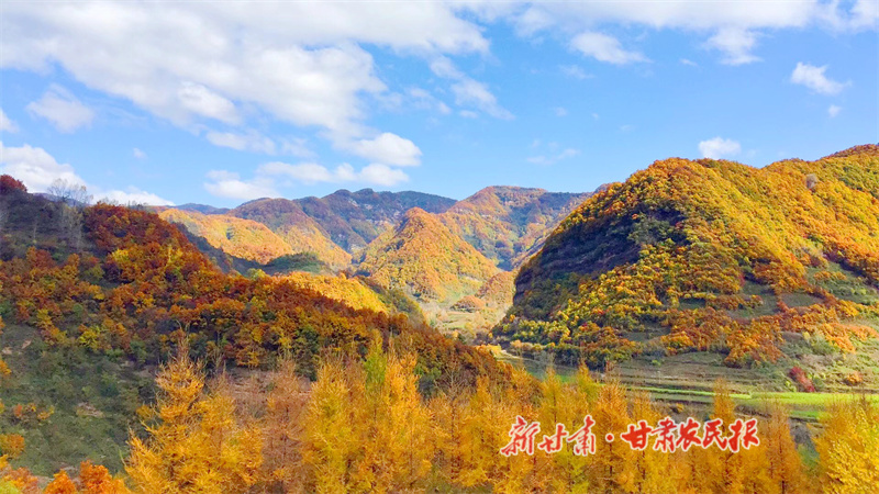 华亭：山水绘就康养新图景