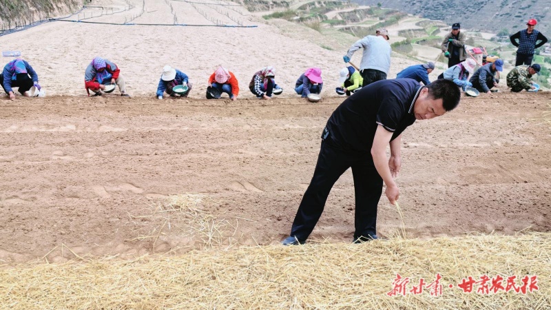 “掘金者”柳文武
