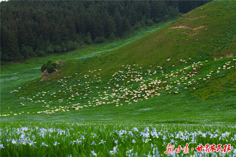 冰沟河：生态治理奏响山水新韵