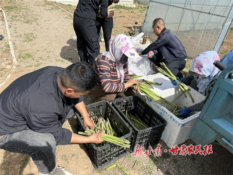 华亭：果蔬飘香富农家