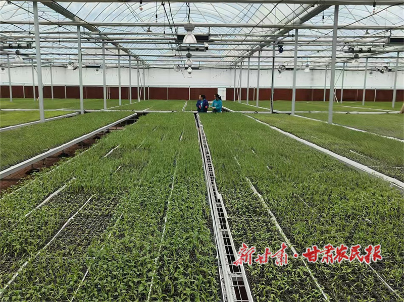 秦州区：多向发力 接力奋斗建设宜居宜业和美乡村