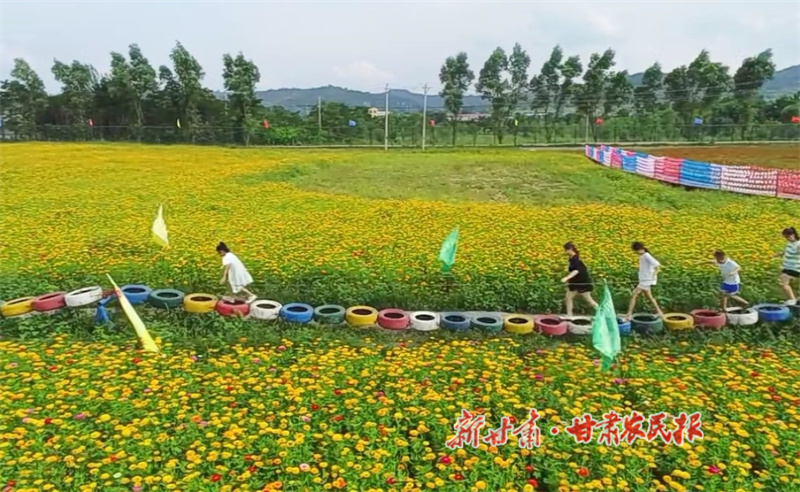 华亭：加力农业全产业链建设 推动乡村产业发展壮大