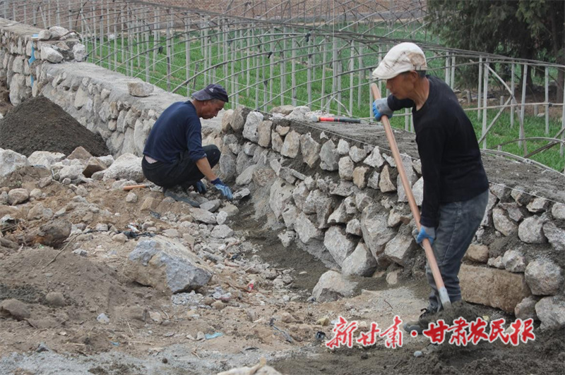 甘谷县：聚焦民生办实事 筑基兴业促振兴