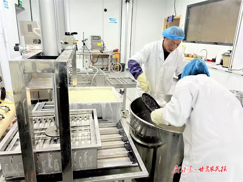 泾川：豆香飘满致富路