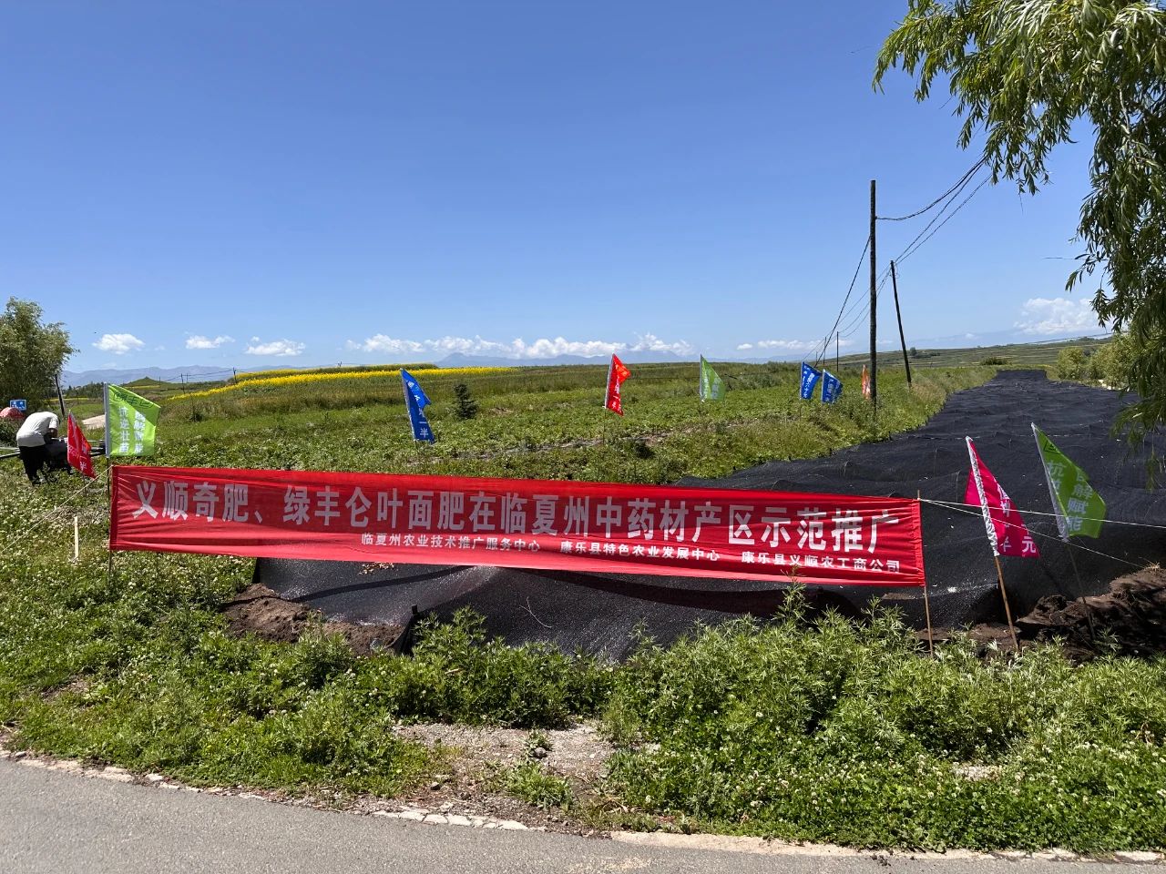 无人机“飞”出中药材种植新天地