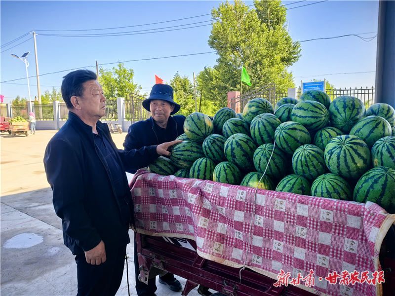 西瓜产业铺就“甜蜜”致富路