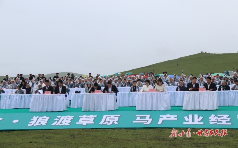 岷县：“军马文化·狼渡草原”经贸交流会开幕