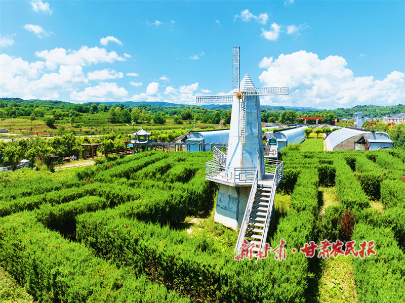 华亭：蓄势兰洽引凤栖 聚能招商乘势起