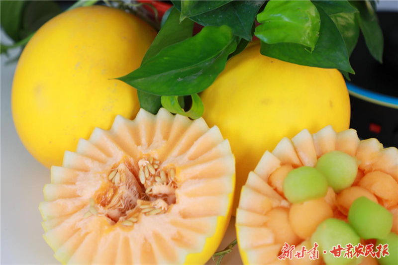 民勤蜜瓜解锁夏日清凉新吃法