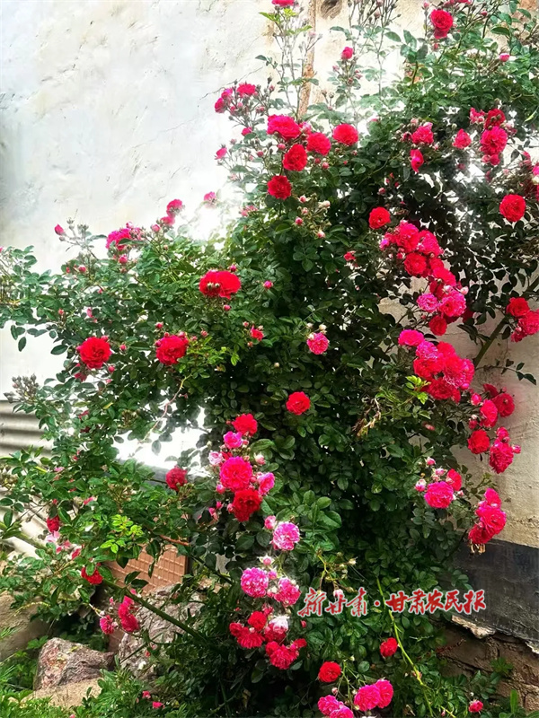 华亭：建设“四小园”打造家门口的微幸福