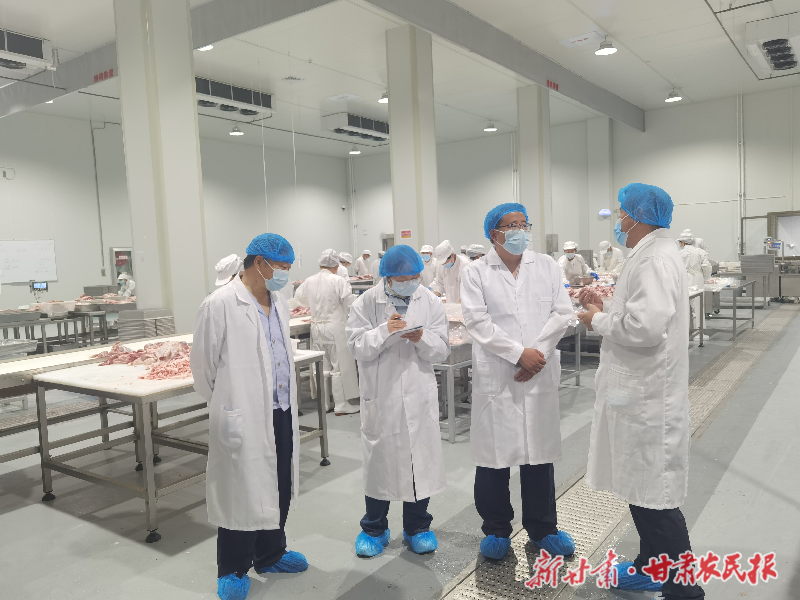 和政税务：税惠赋能“牛羊经济” 绘就乡村振兴新画卷