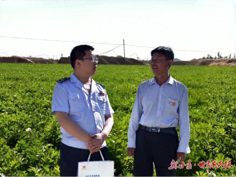 武威：供港蔬菜基地里的合规“税”密码