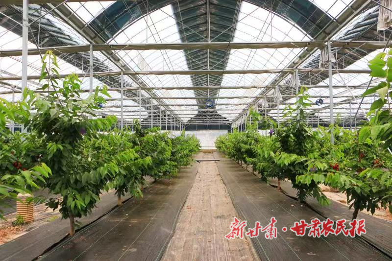 秦州区：特色产业激活乡村振兴新动能