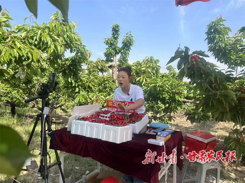 秦州大樱桃线上销售创新高