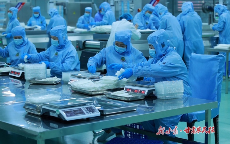 薯业腾飞正当时——定西市打造全国马铃薯全产业链发展高地纪实