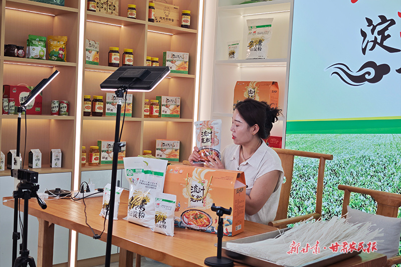 庄浪土豆"链"出致富新天地