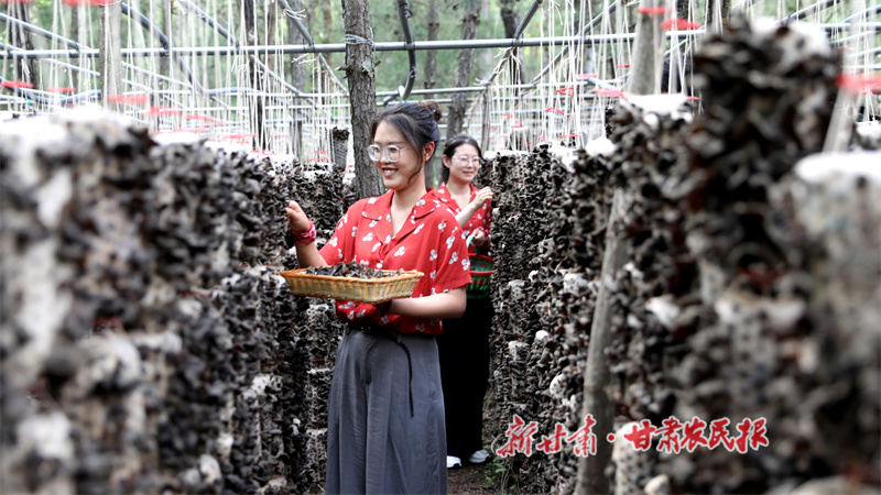 沃野绽新颜 乡村谱华章——清水县2025年上半年农业农村工作综述

