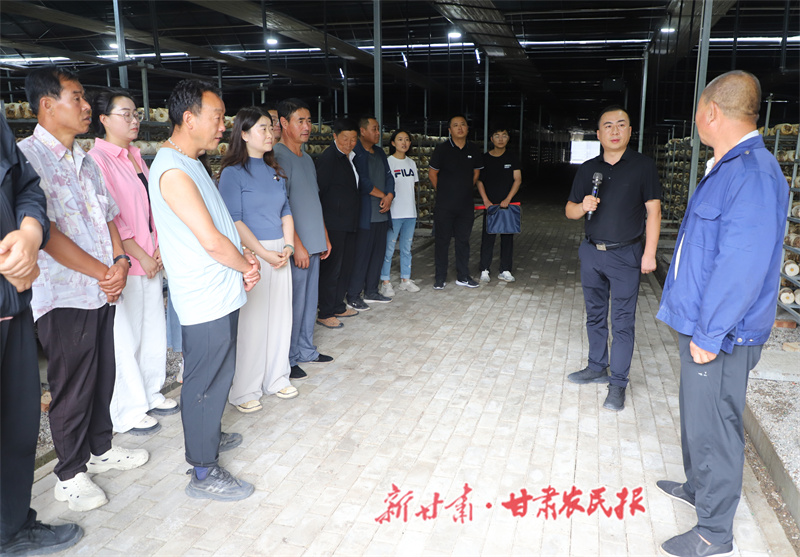 清水县：“人才赋能”食用菌阔步向前