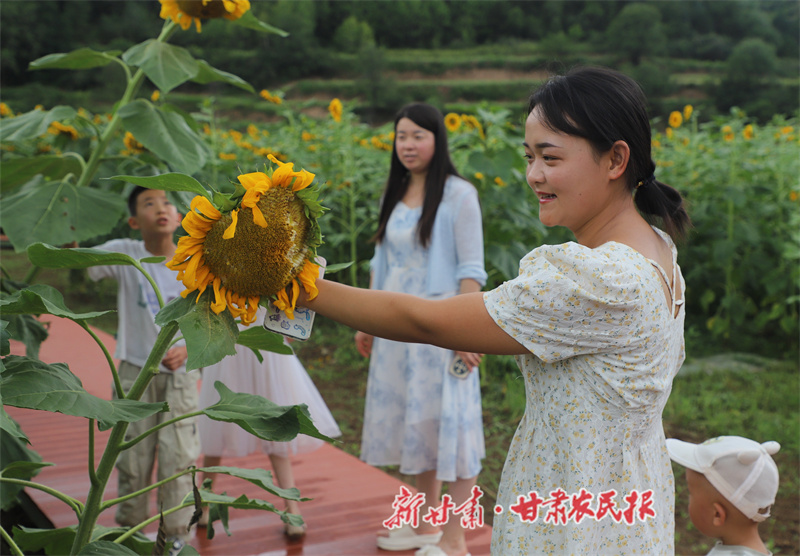 清水邂逅夏日花海的浪漫