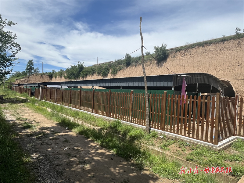 灵台星火乡：“5+N”推动村集体经济驶入快车道