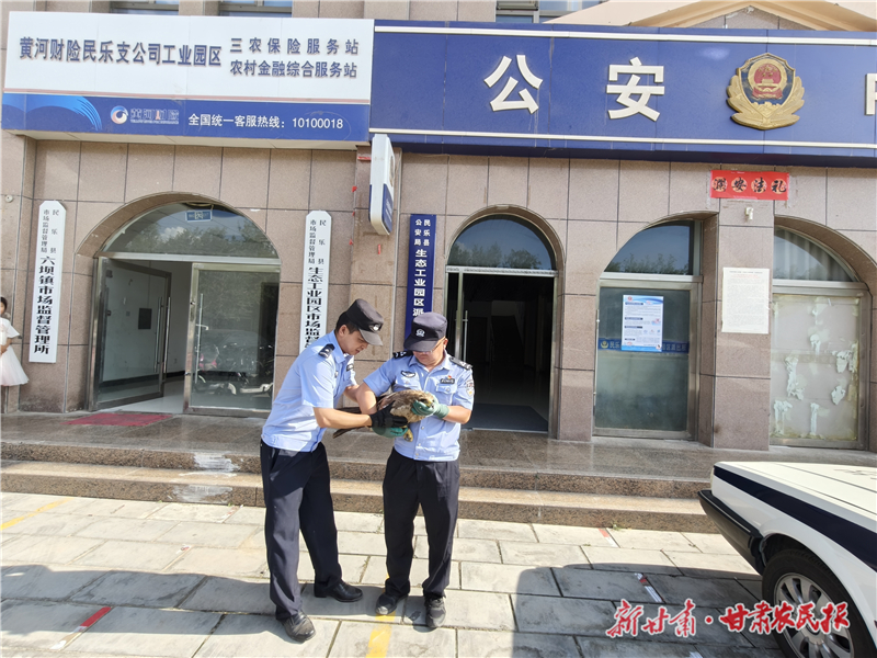 民乐县公安局生态工业园区派出所成功救助国家一级保护动物“金雕”