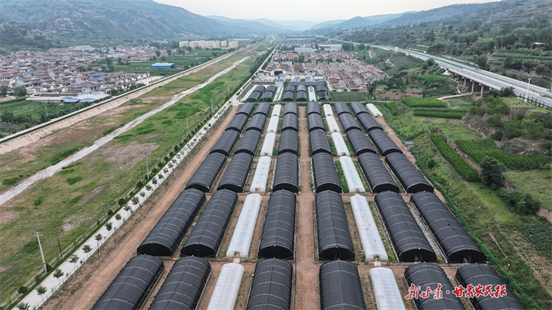 庄浪：“双轮驱动”推动集体经济多元化发展