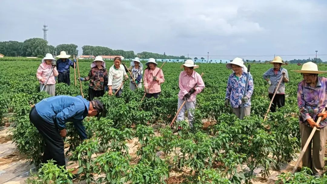 灵台：百名农民田间地头学习现代农业新技能