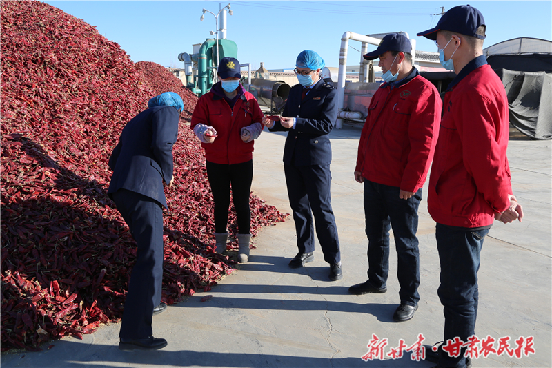 酒泉税务：多维服务赋能农产品加工企业行稳致远