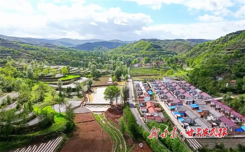 华亭：林下种植茯苓 生态致富“两不误”