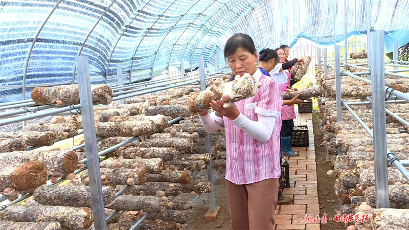 崇信：深耕产业释放发展新动能