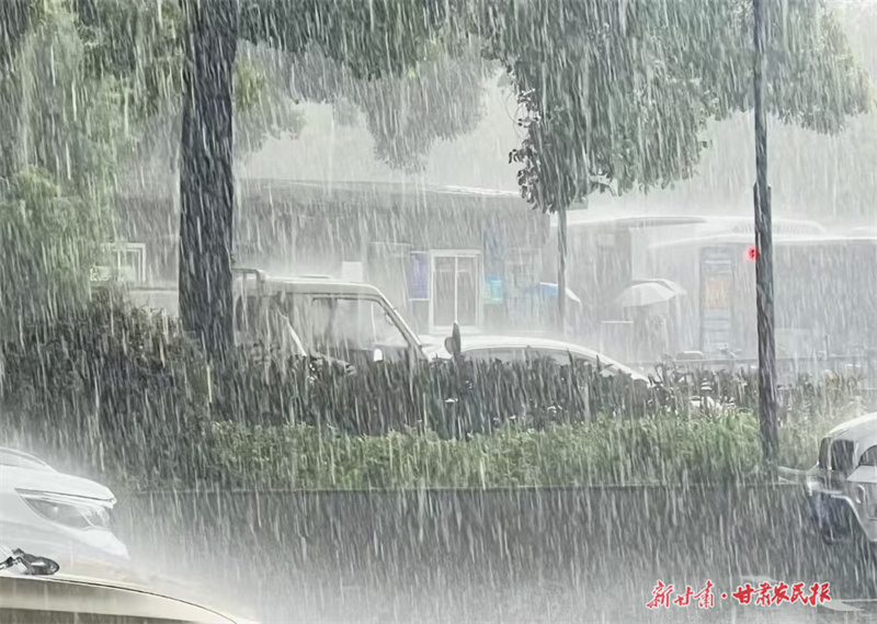 注意防范！陇南气象台发布暴雨红色预警