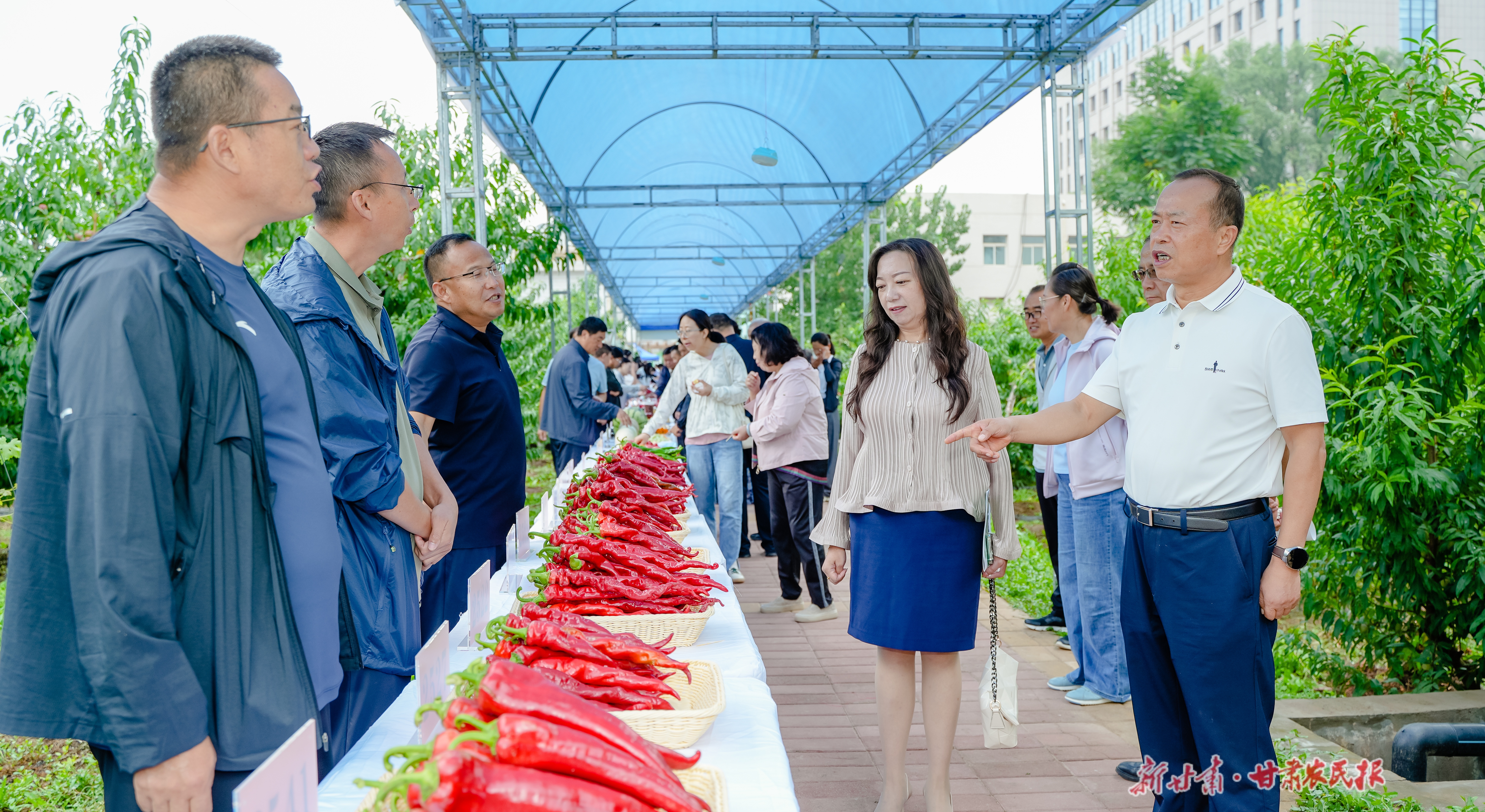 省农业科学院林果花卉研究所果树新品种结出增收“幸福果”