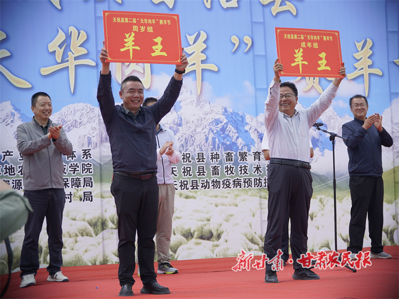 “天华肉羊”竞风采，科技赋能谱新篇——天祝县第二届“天华肉羊”赛羊节侧记
