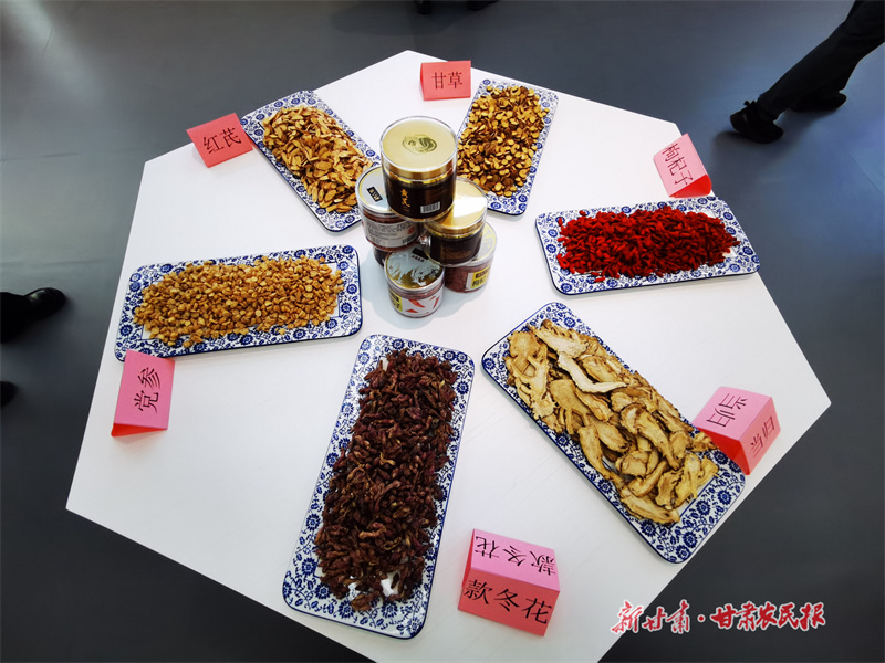 “千年药乡”迈向“千亿产业”，定西如何破题？