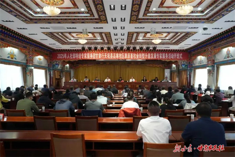 人社部特培专家一线“把脉开方” 赋能天祝畜牧业转型升级