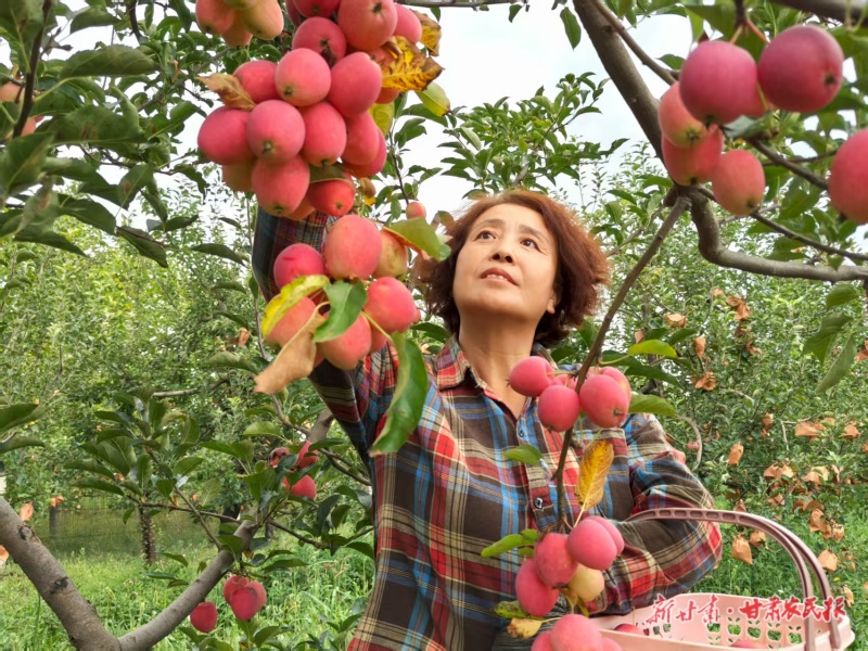 果实成熟前如何防治虫害