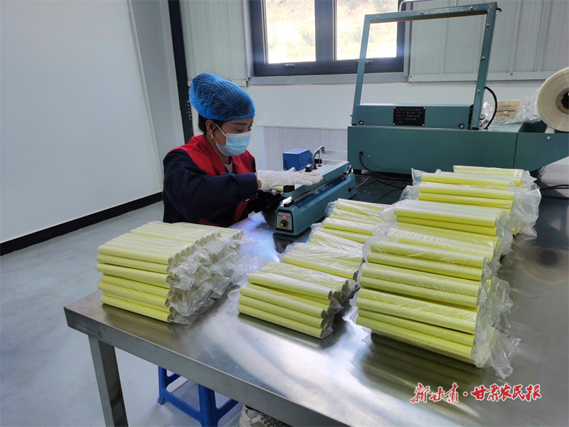 一根艾草“灸”出一条产业“链”