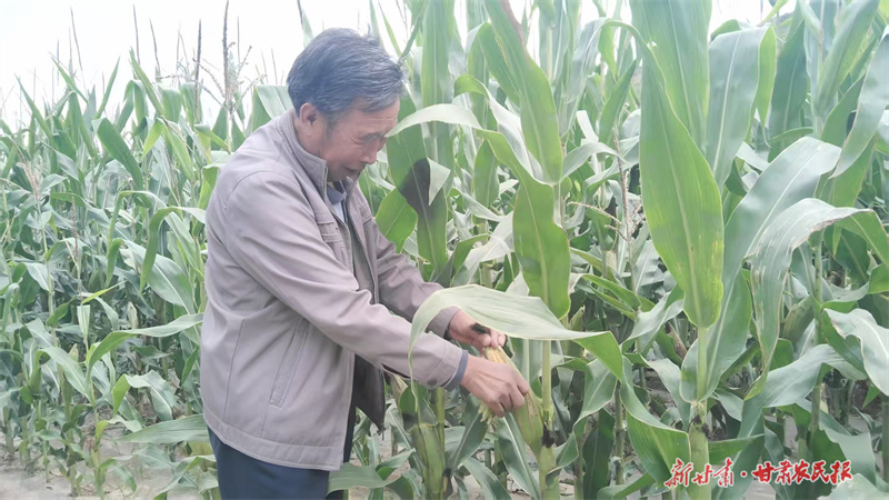 静宁：“五良”融合激发旱作农业新活力