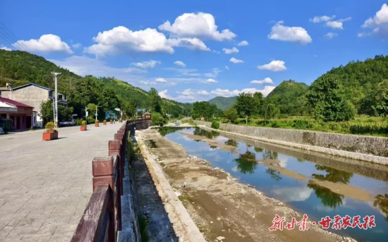 康县乡村“美颜”记:从“各扫门前雪”到“全域绿美净”