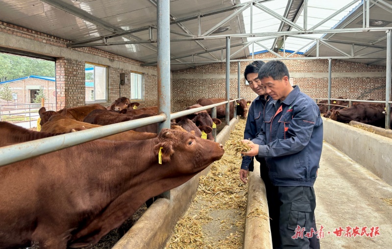 从“牛医生”到“养牛达人”
