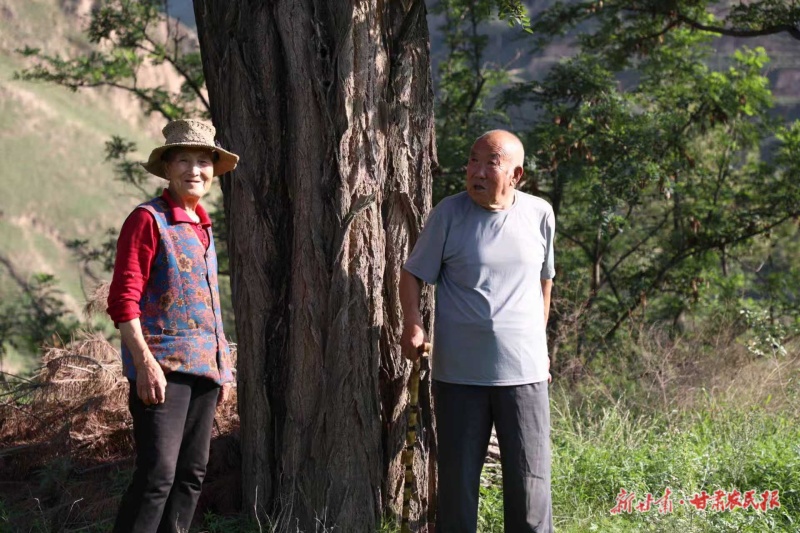 “树迷”辛正学：将一生“种”在黄土里

