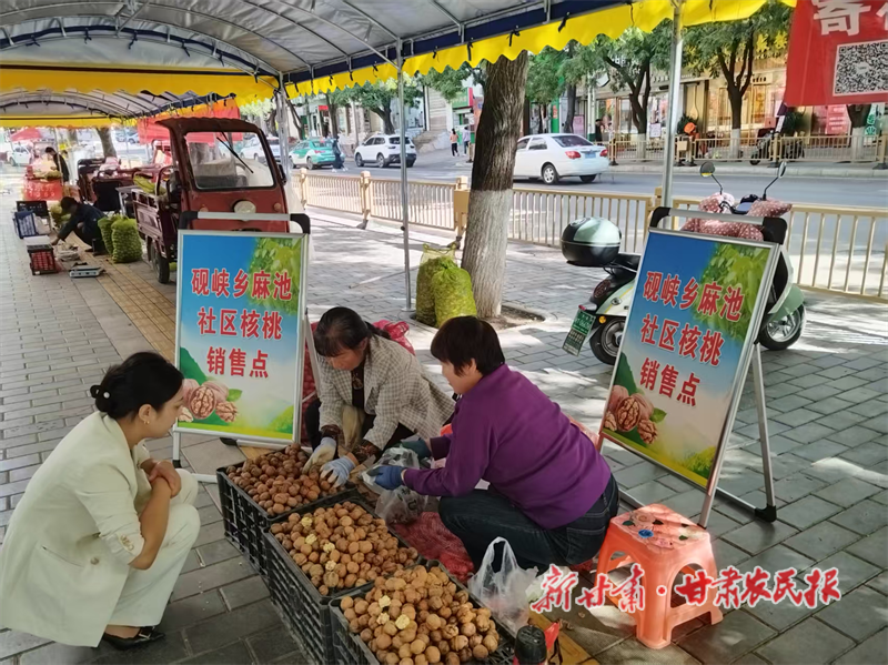 华亭:秋日“金果果” 鼓起钱袋子
