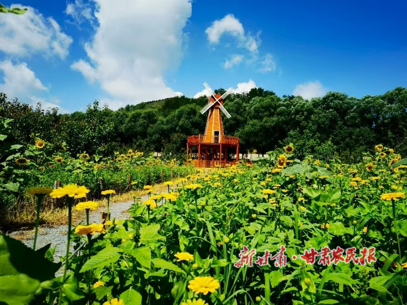 华亭:魅力大南峪别样风景美如画