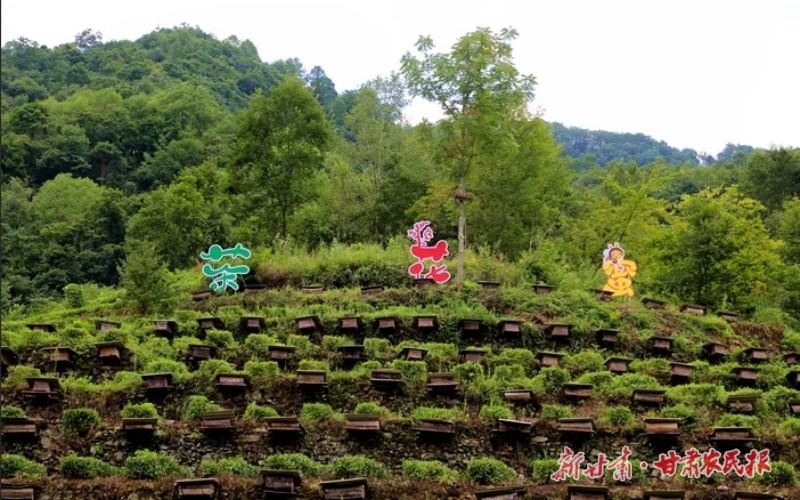 康县铜钱镇:“链”上党建,串起产业发展“聚能环”